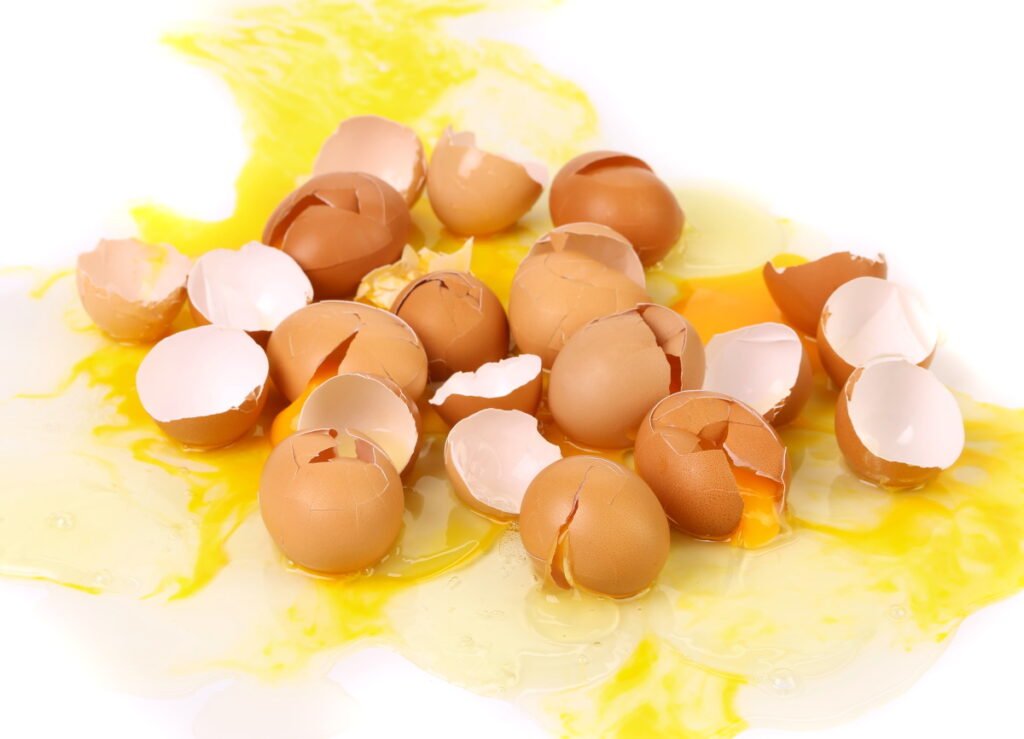 pile of broken egg shells for can you compost egg shells