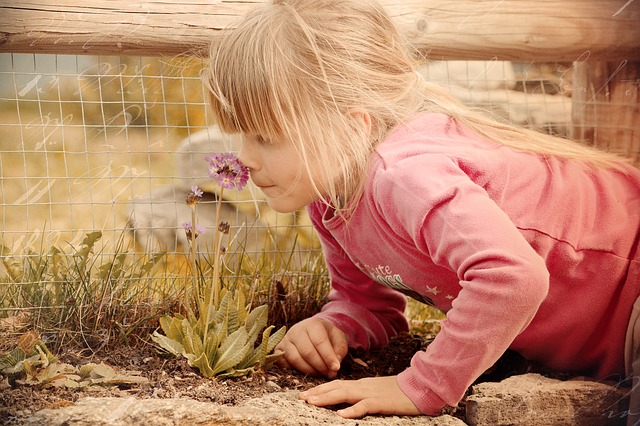 a girl smelling a flower - smelling and seeing is the easiest way to determine if your compost has the right ratio brown to green