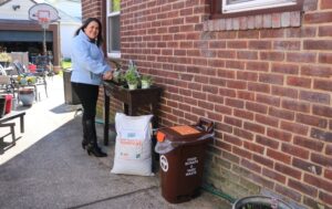 New York City Composting Bins