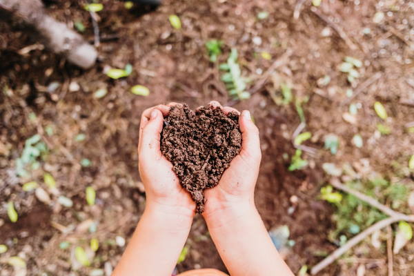 person holding a handful of soil from pit composting