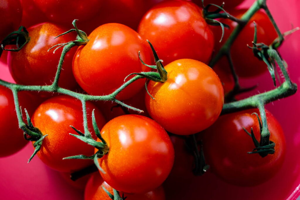 red tomatoes in close-up image - can you compost tomatoes