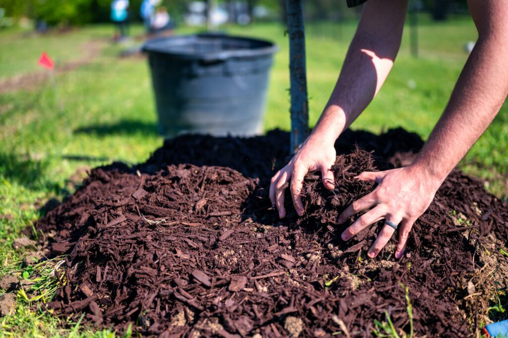 A person combing through a pile of compost - there are several different types of composting