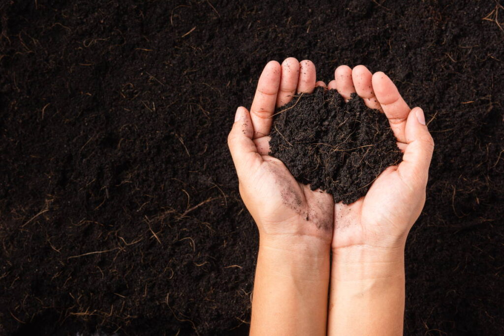 woman holding black fertile compost soil how to start composting so that you can have your own black gold fertile compost for your garden or lawn