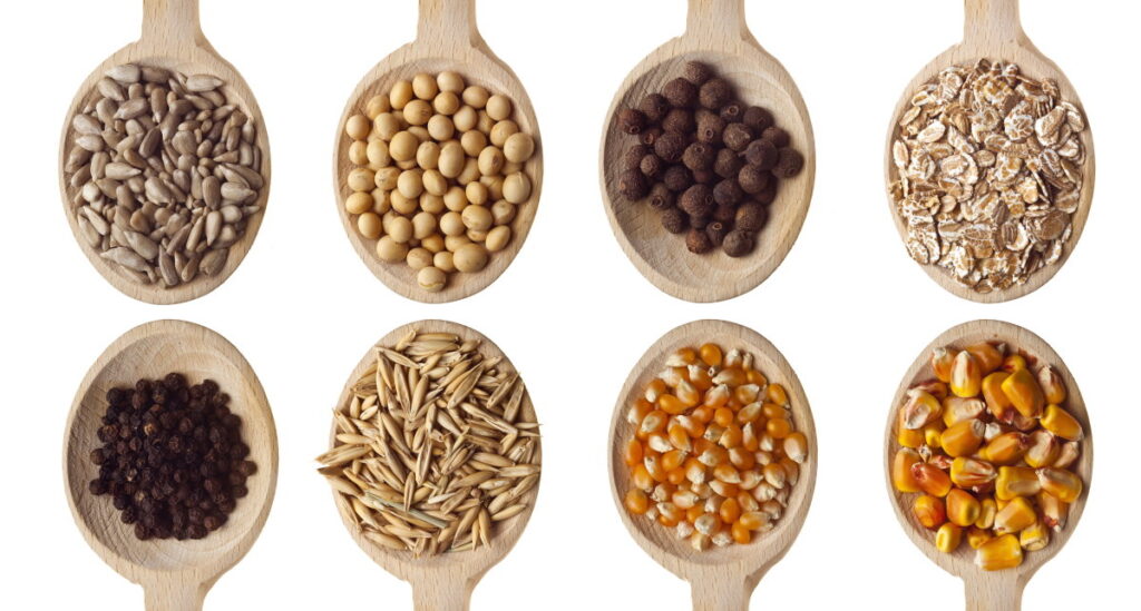 Different type of seeds on wooden spoon - can you compost seeds