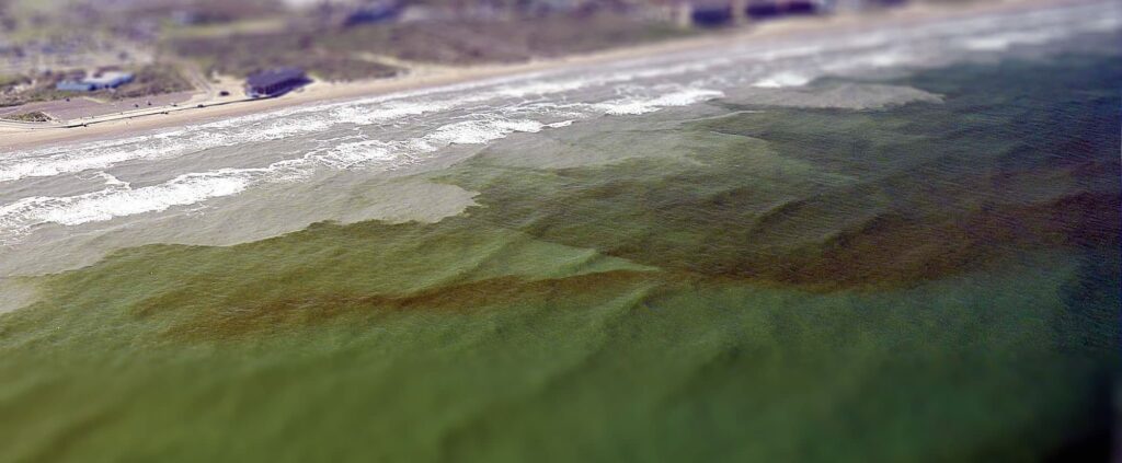  Florida Red Tide Algae Blooms From Fertilizers