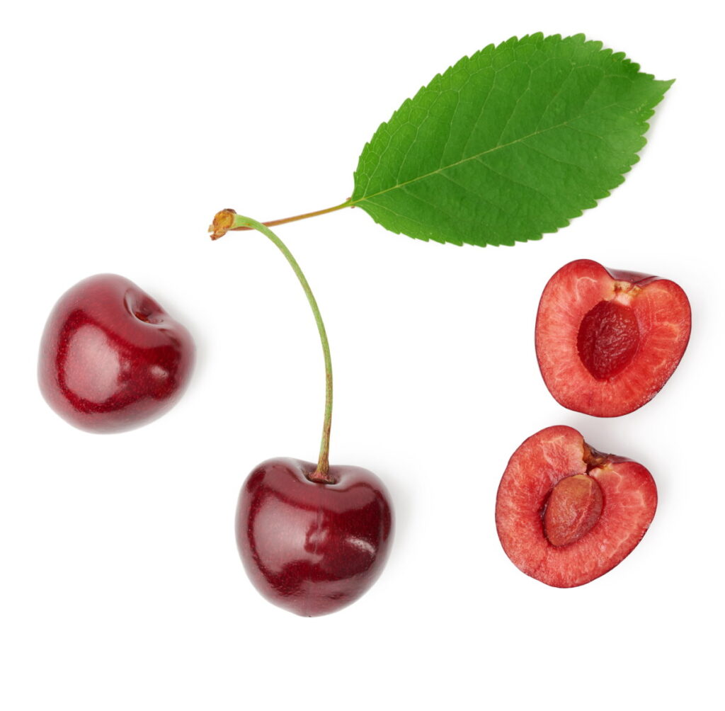 whole ripe red juicy sweet cherries and halves with cherry pits showing with pits isolated on a white background, top view - can you compost cherry pits?