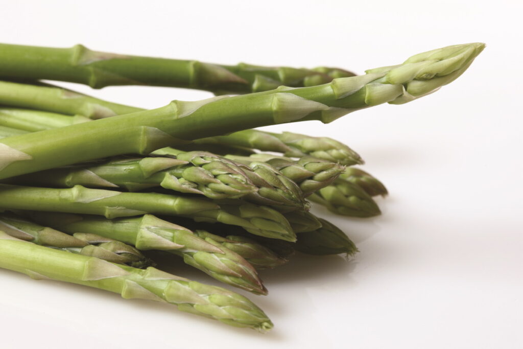 stalks of asparagus - can you compost asparagus? We explore that