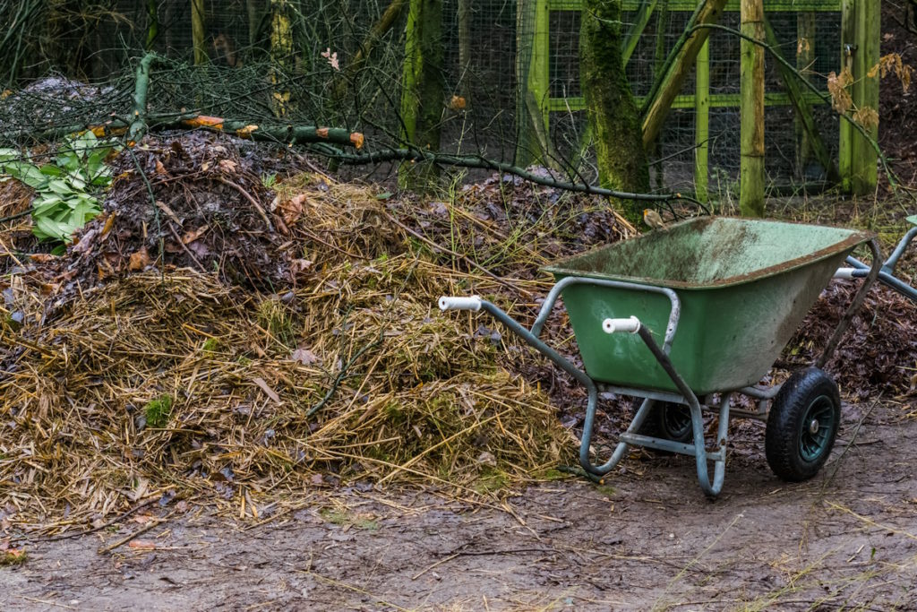 green wheelbarrow next to a stagnant compost pile, work place in the garden, gardening