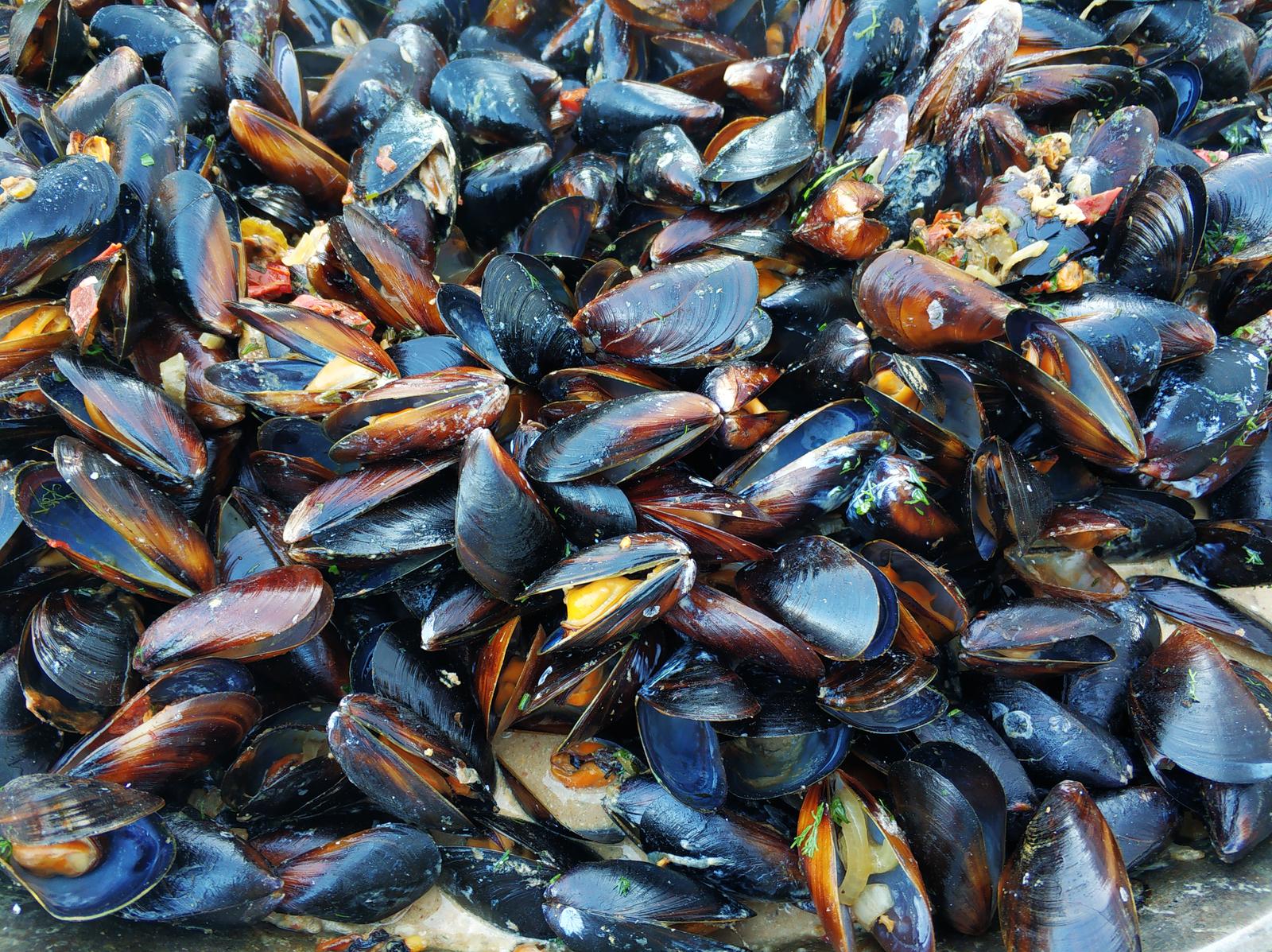 Can You Compost Mussel Shells? Exploring the Environmental Benefits and Practical Considerations
