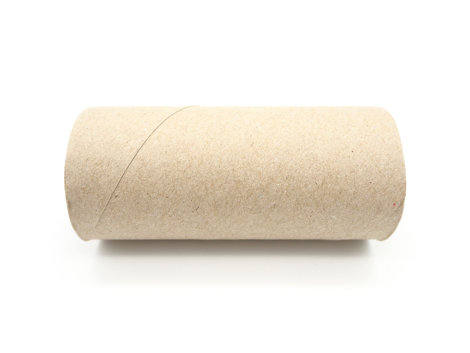 Can You Compost Toilet Paper Rolls (or Paper Towel Rolls)?